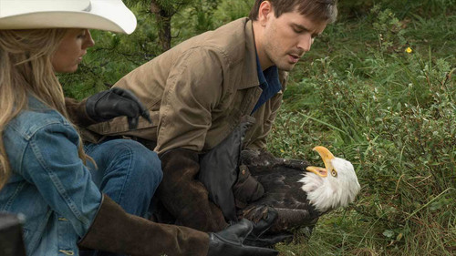 Heartland - S9E6: Over and Out