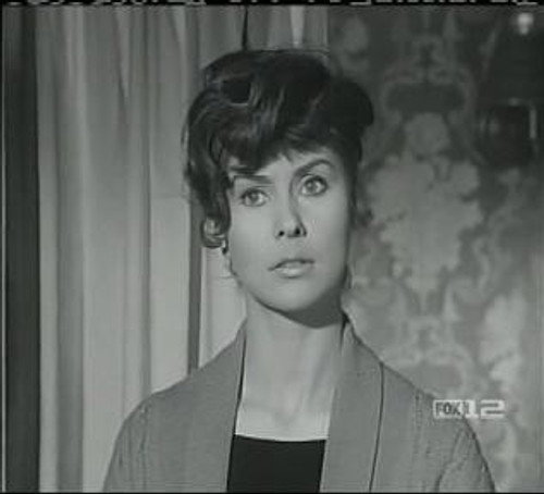 Perry Mason - S8E15: The Case of the Frustrated Folk Singer