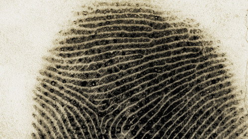 NOVA - S40E2: Forensics on Trial