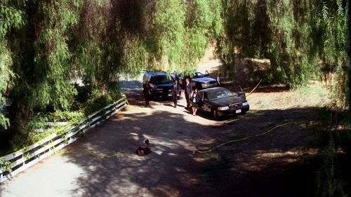 Criminal Minds - S1E5: Broken Mirror