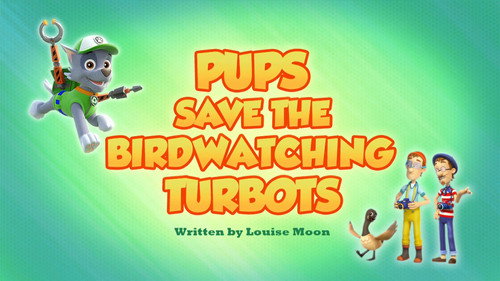 PAW Patrol - S6E24: Pups Save the Birdwatching Turbots