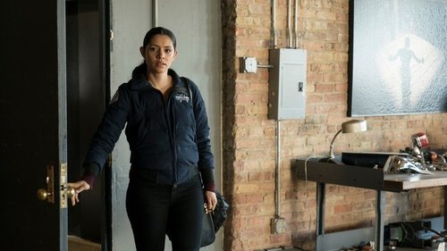 Chicago Fire - S6E23: The Grand Gesture