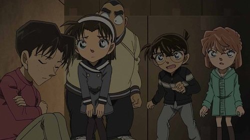 Detective Conan - S1E723: The Cold and Sweet Delivery (2)