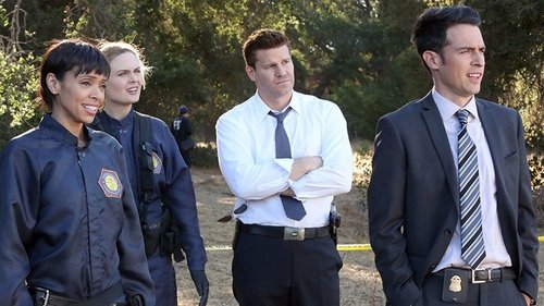 Bones - S10E6: The Lost Love in the Foreign Land