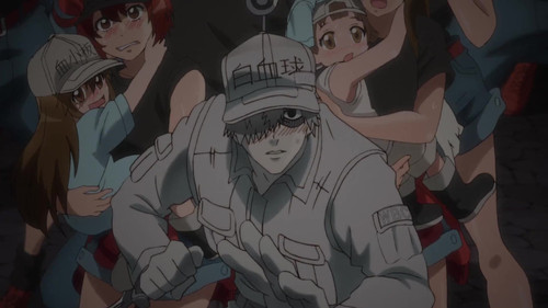 Cells at Work! - S1E11: Heat Stroke