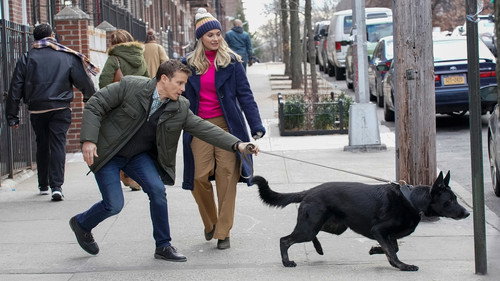 Blue Bloods - S10E16: The First 100 Days