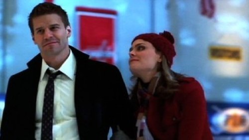 Bones - S4E13: Fire in the Ice