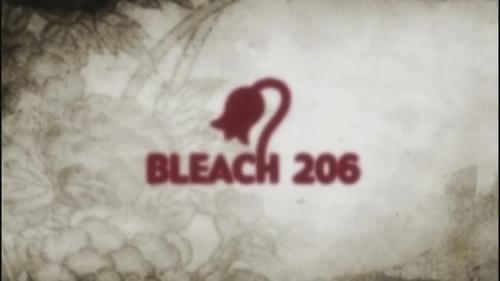 Bleach - S1E206: The Past Chapter Begins! The Truth from 110 Years Ago