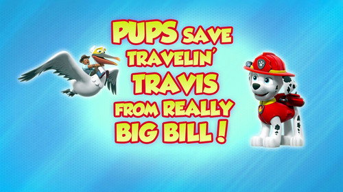 PAW Patrol - S8E45: Pups Save Travelin' Travis from Really Big Bill!