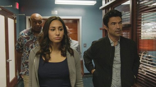 Hawaii Five-0 - S10E7: Ka ʻiʻo (DNA)