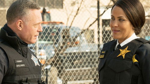 Chicago P.D. - S8E12: Due Process