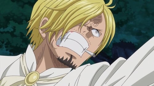 One Piece - S19E848: Save the Sunny! Fighting Bravely! Chopper and Brook!