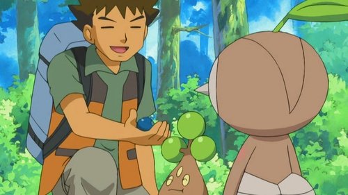 Pokémon - S10E14: Leave it to Brocko!