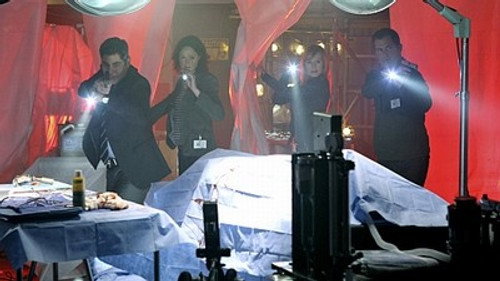 CSI: Crime Scene Investigation - S11E21: Cello and Goodbye (2)
