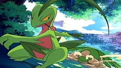 Pokémon - S9E16: Odd Pokémon Out!