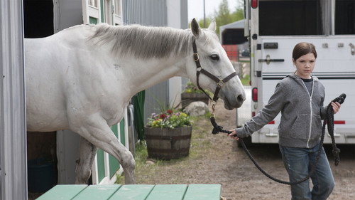 Heartland - S6E2: Crossed Signals