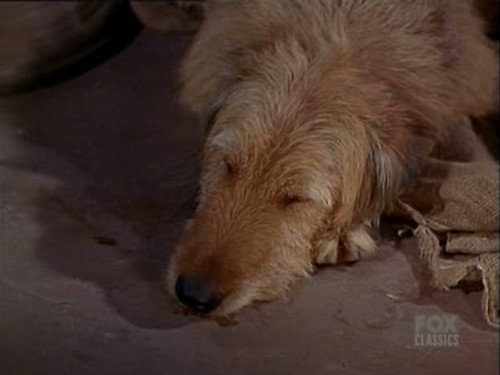 Bonanza - S4E26: Any Friend of Walter's