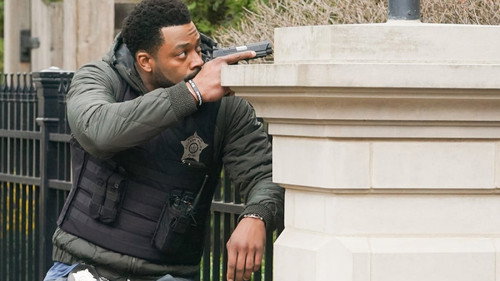 Chicago P.D. - S9E19: Fool's Gold