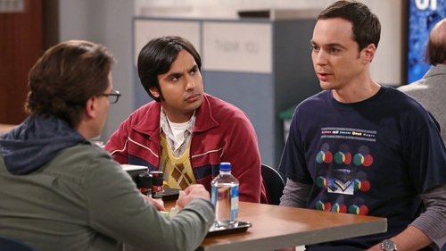 The Big Bang Theory - S7E24: The Status Quo Combustion