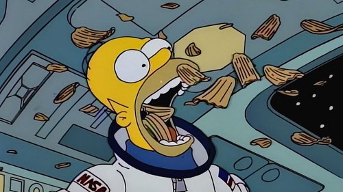 The Simpsons - S5E15: Deep Space Homer