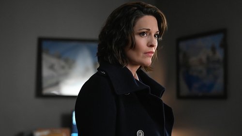 FBI - S4E15: Scar Tissue