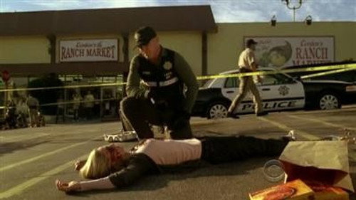 CSI: Crime Scene Investigation - S11E10: 418/427