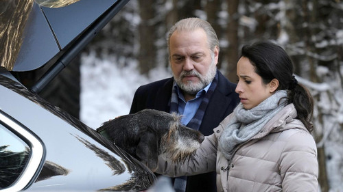 The Old Fox - S45E2: Episode 2