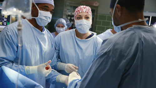 Grey's Anatomy - S12E8: Things We Lost in the Fire