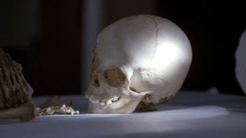 Without a Trace - S6E6: Where & Why (II)