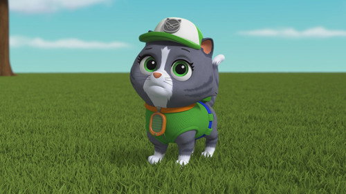 PAW Patrol - S10E44: Pups Take in a Runaway Kitty!