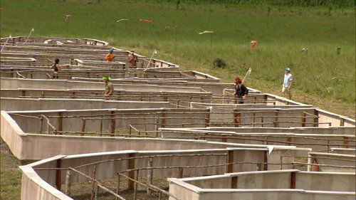 Survivor - S18E13: The Martyr Approach