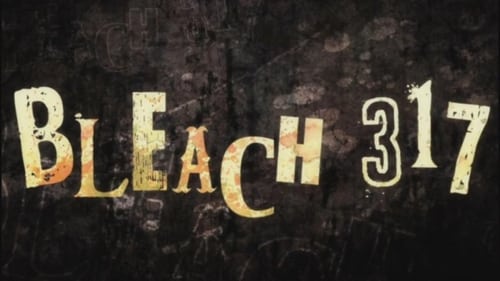 Bleach - S1E317: Unusual Incident in Seireitei?! Gotei 13 Invading Army Arc!