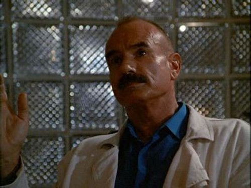 Miami Vice - S2E10: Back in the World