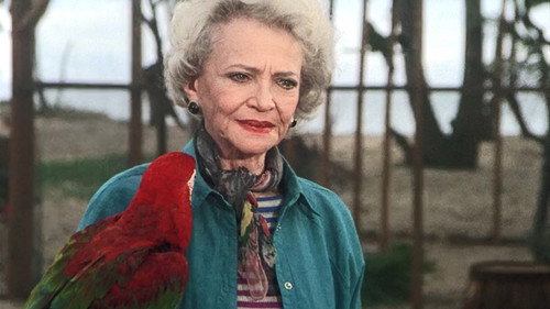Magnum, P.I. - S3E16: Birdman of Budapest