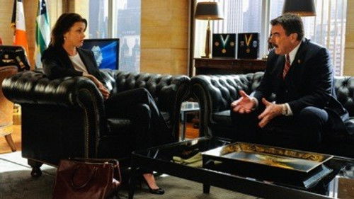 Blue Bloods - S3E17: Protest Too Much