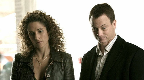 CSI: NY - S2E10: Jamalot