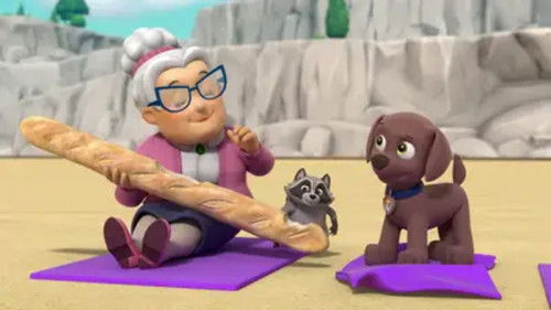 PAW Patrol - S10E1: Pups Save the Wacky Water Skiers