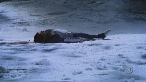 CSI: NY - S1E13: Tanglewood
