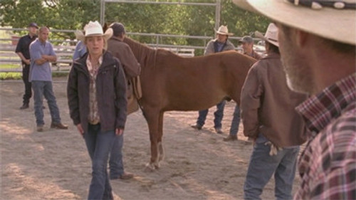 Heartland - S4E8: One Day