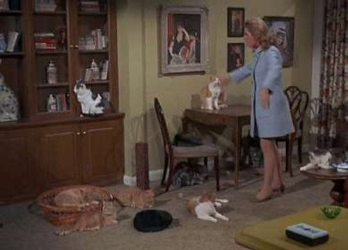 Bewitched - S5E20: Mrs. Stephens, Where are You?