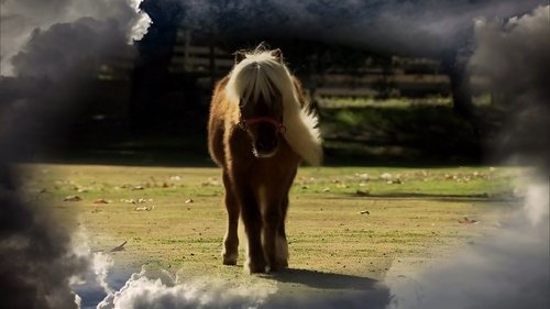 Parks and Recreation - S3E16: Li'l Sebastian