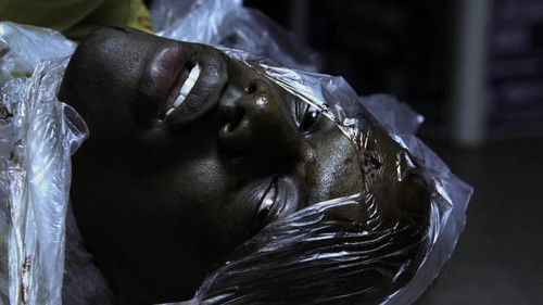 CSI: NY - S1E6: Outside Man