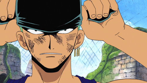One Piece - S6E178: Bursting Slash! Zoro vs Ohm!