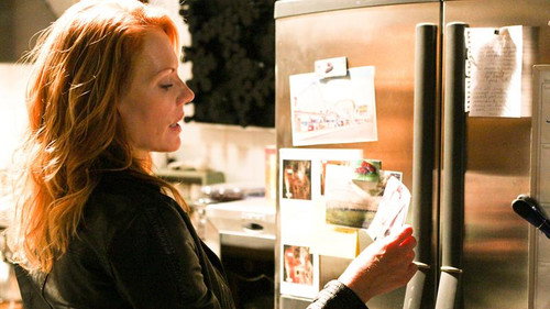 CSI: Crime Scene Investigation - S8E12: Grissom's Divine Comedy