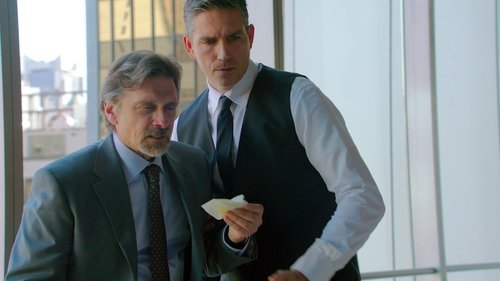Person of Interest - S2E20: In Extremis