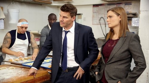 Bones - S10E13: The Baker in the Bits