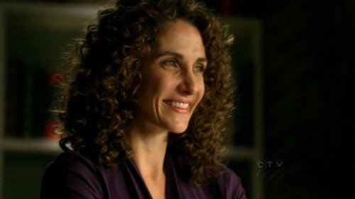 CSI: NY - S6E22: Point of View