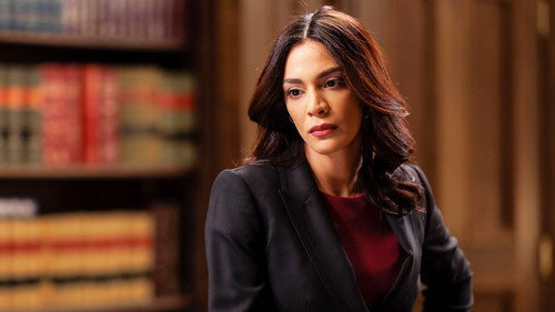 Law & Order - S22E10: Land of Opportunity