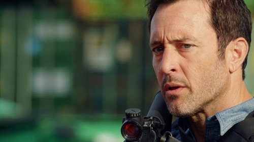 Hawaii Five-0 - S10E22: Aloha (Goodbye)
