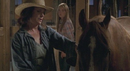 Heartland - S4E5: Where the Truth Lies
